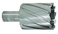 2-13/16 X 3 X 1-1/4 SHANK IND - Exact Tooling