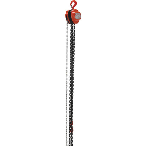 Manual Chain Hoist 3K Capacity 20 Ft - Exact Tooling