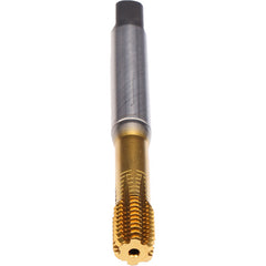 ‎5/16-24-FORM VA-CLNT-TIN