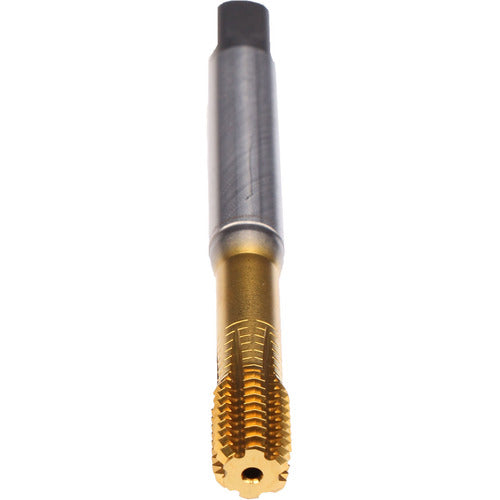 ‎#10-32-FORM VA-CLNT-TIN