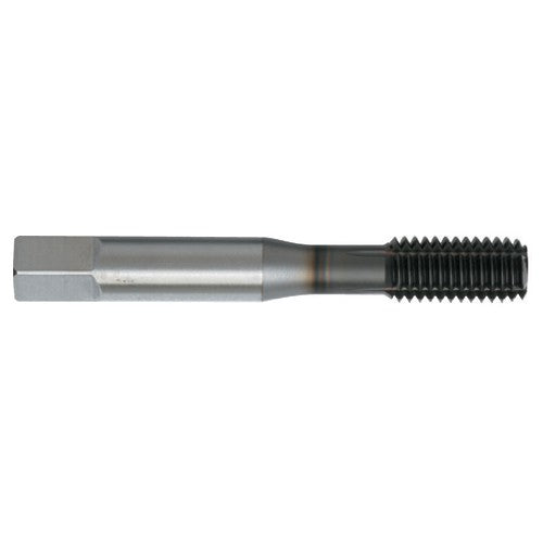 ‎#12-24; Bottoming; H6; DLC ROL Form Tap - Exact Tooling