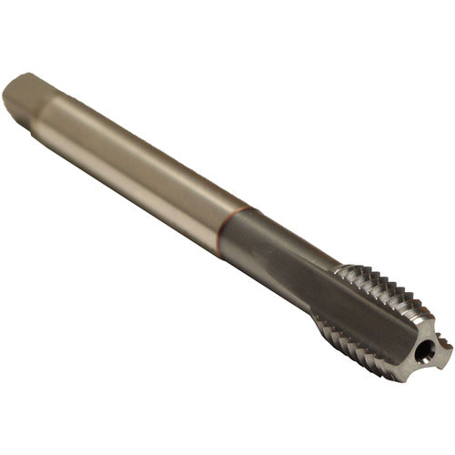 ‎1/4-28-SLOW SP-CLNT-TICN