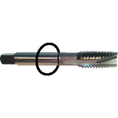 ‎8-32 Dia-H3-3 FL-Std Spiral Point Tap - Black Ring - Exact Tooling